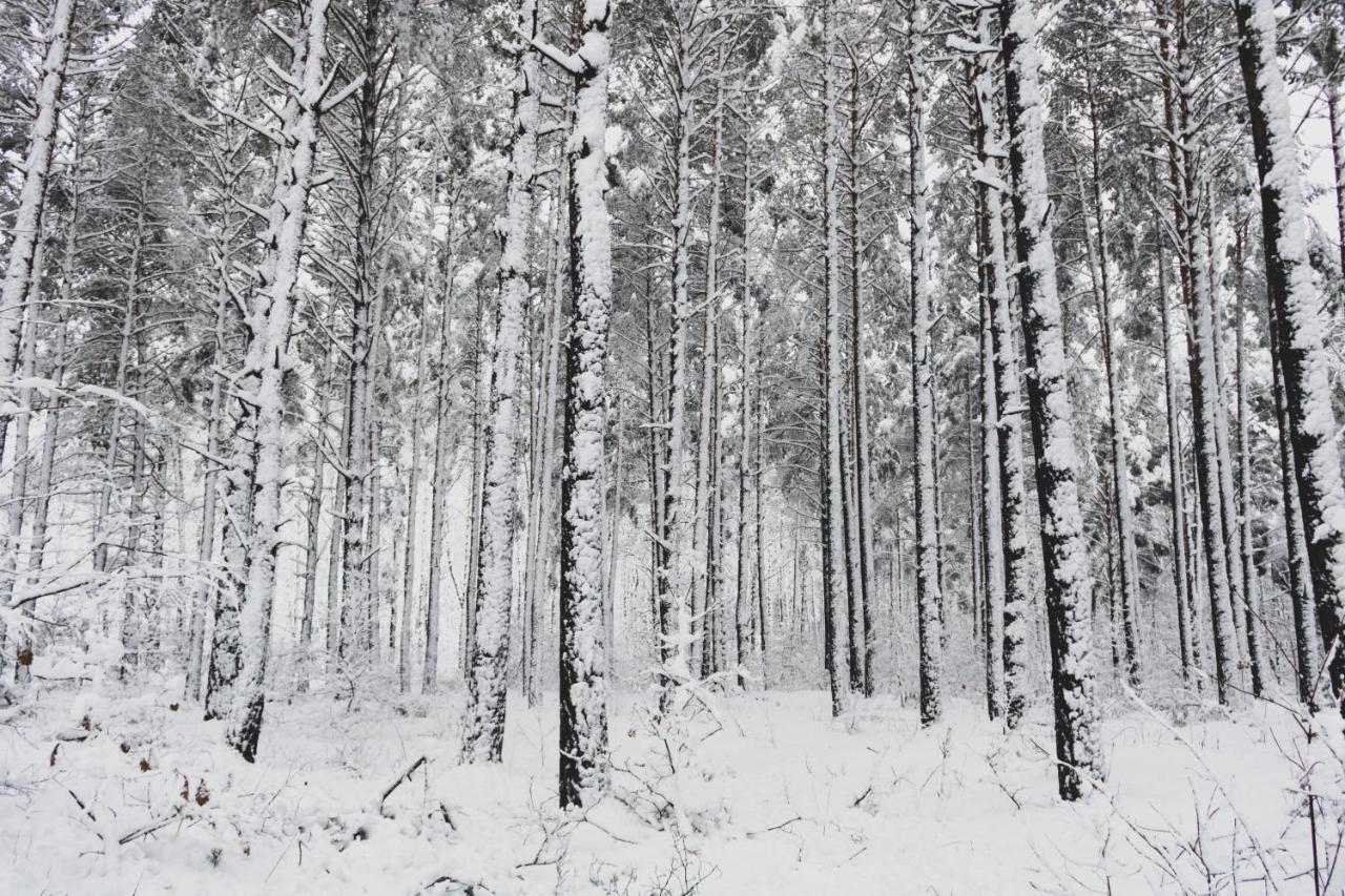 Jarzebinowa - Dom Do Wynajecia Na Podlasiu Luka Bagian luar foto