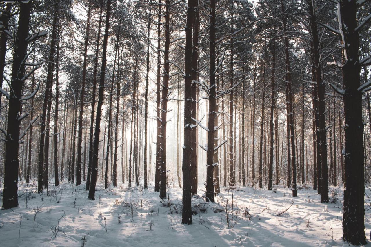 Jarzebinowa - Dom Do Wynajecia Na Podlasiu Luka Bagian luar foto