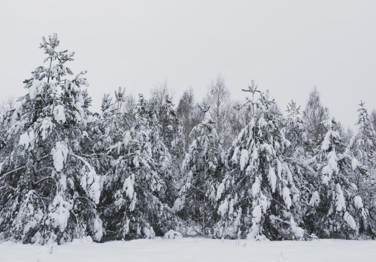 Jarzebinowa - Dom Do Wynajecia Na Podlasiu Luka Bagian luar foto