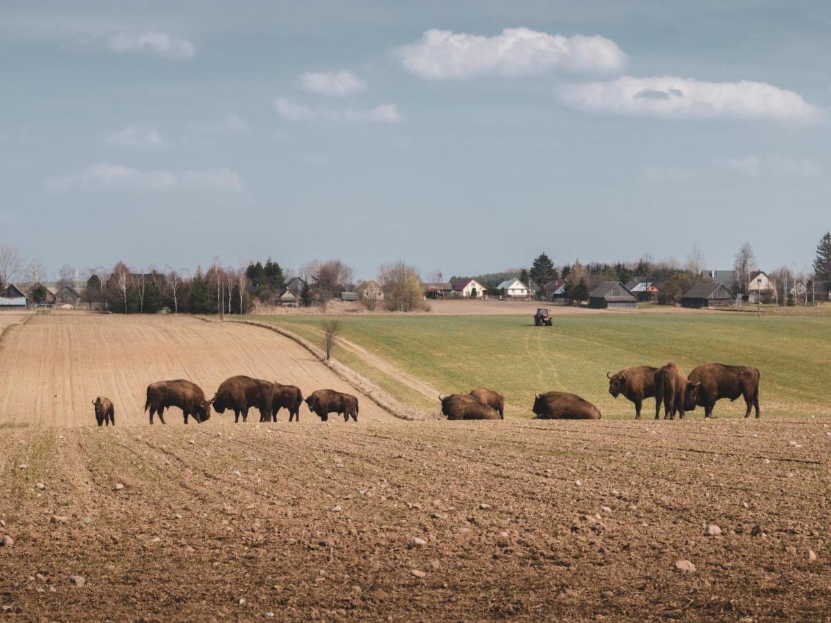 Jarzebinowa - Dom Do Wynajecia Na Podlasiu Luka Bagian luar foto